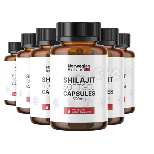 6x Shilajit SoftGel Capsules